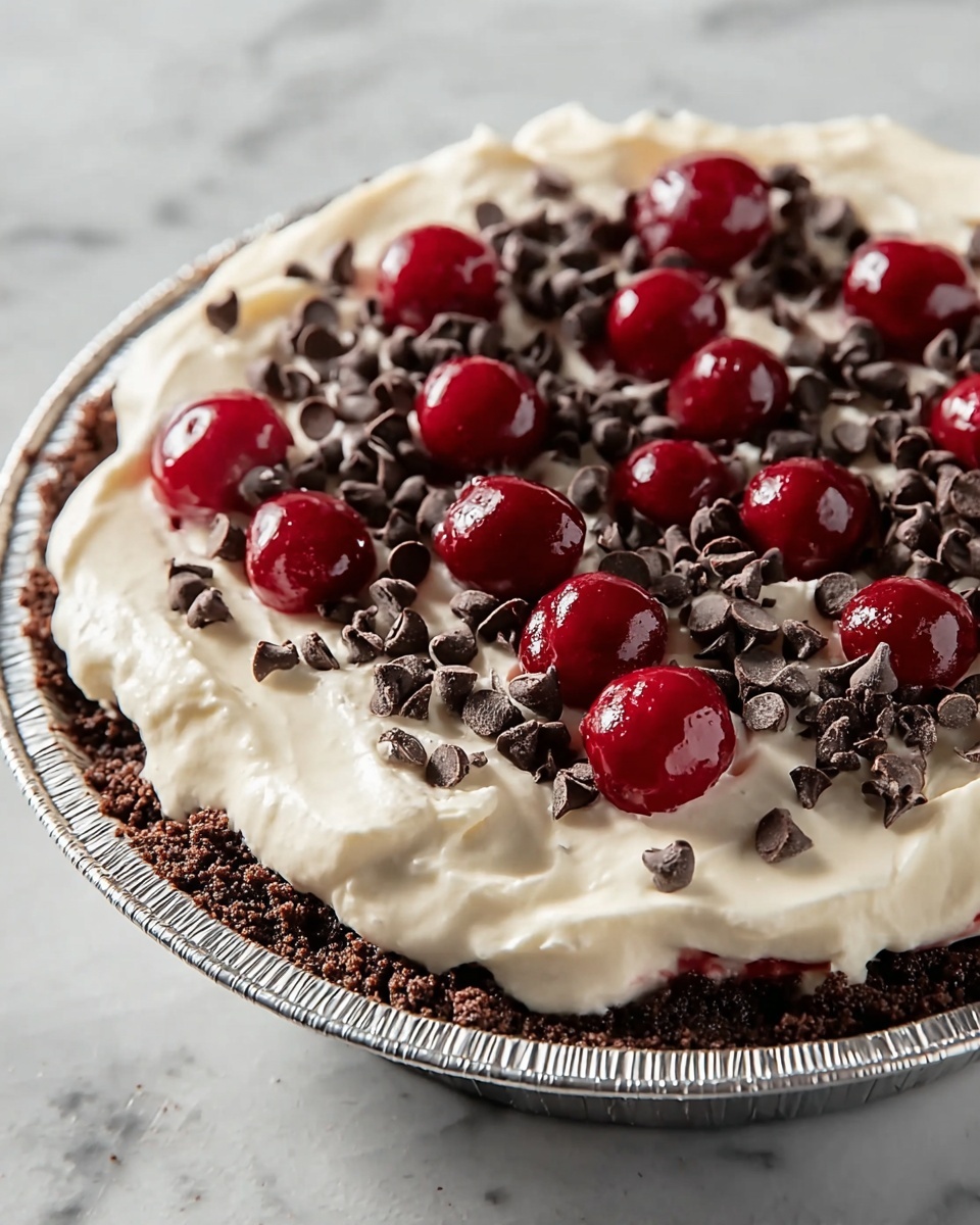 Cherry Chocolate Chip Ice Cream Pie Recipe - Recipe Image