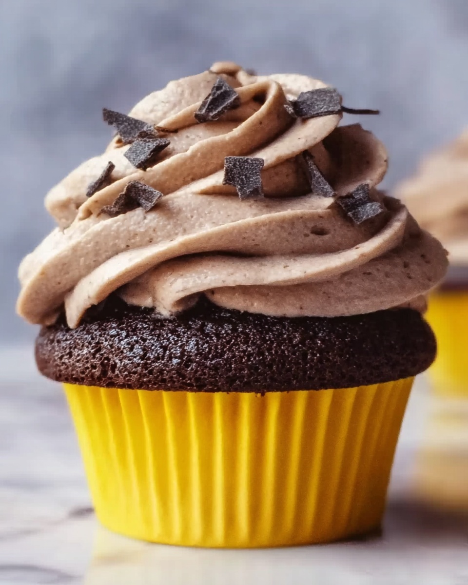 Velvety Mocha Chocolate Cupcakes Recipe - Recipe Image