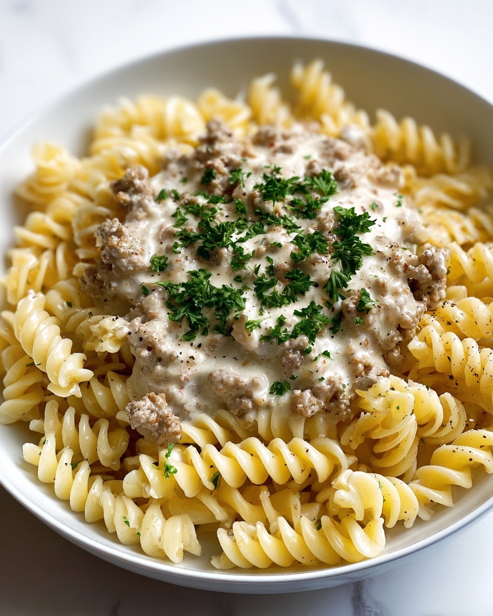 Beef and Rotini in Garlic Parmesan Sauce Recipe - Recipe Image