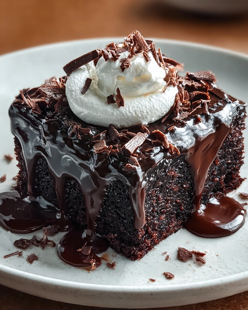 Hot Fudge Chocolate Pudding Cake Recipe - Recipe Image