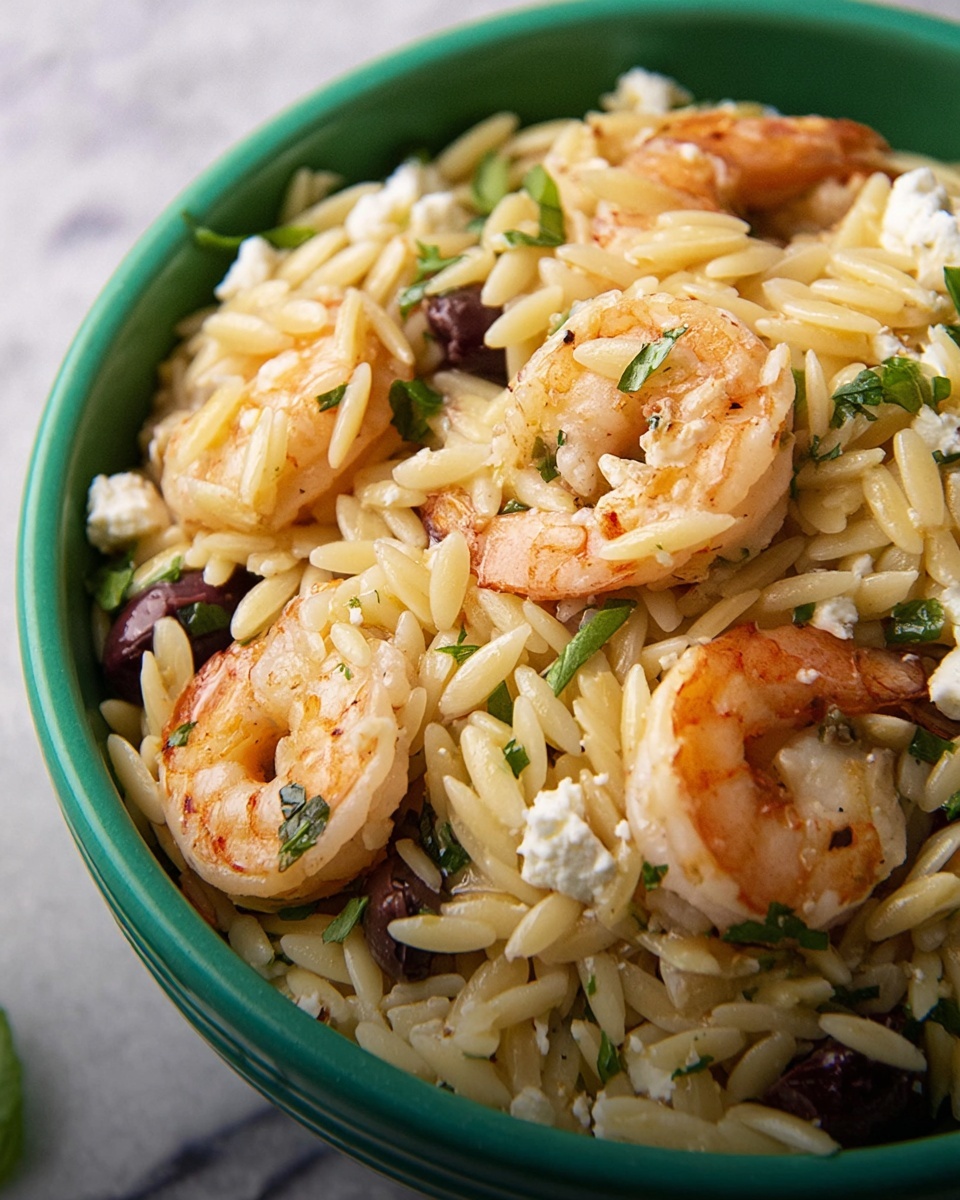 Lemon Shrimp Orzo Recipe - Recipe Image