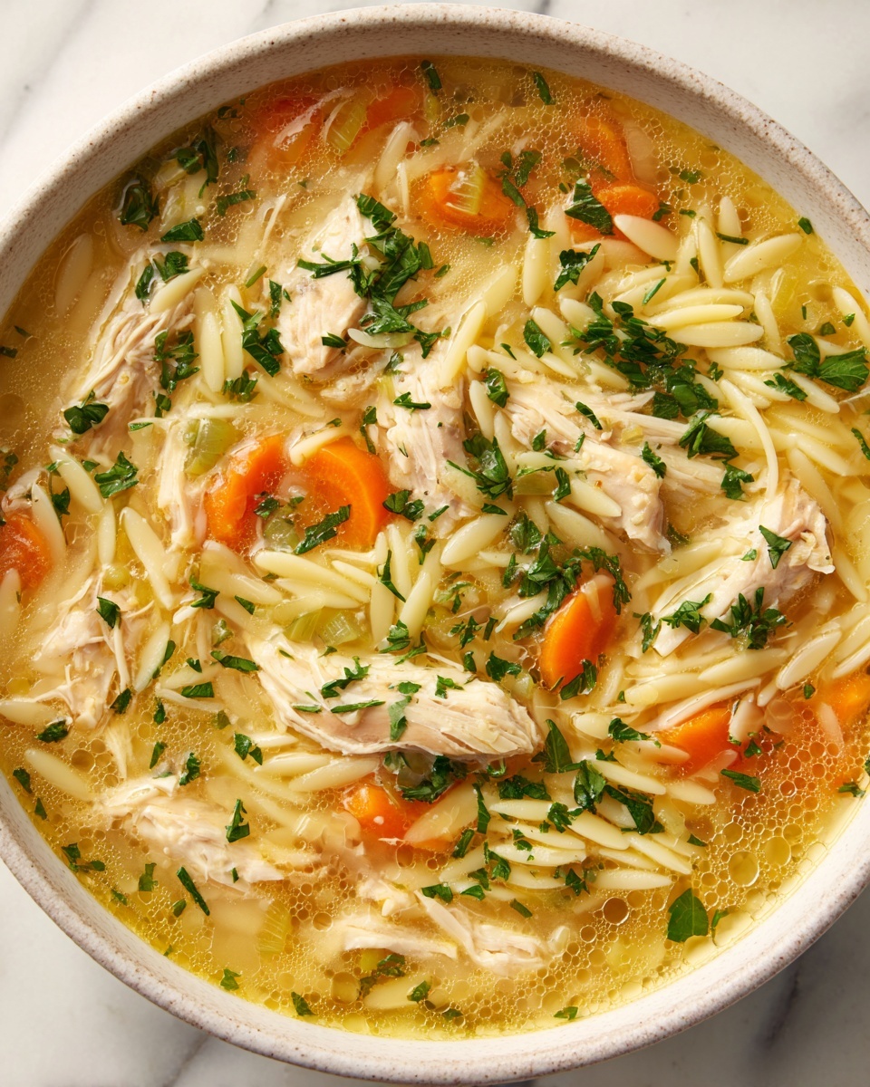 One Pot Lemon Chicken Orzo Soup Recipe - Recipe Image