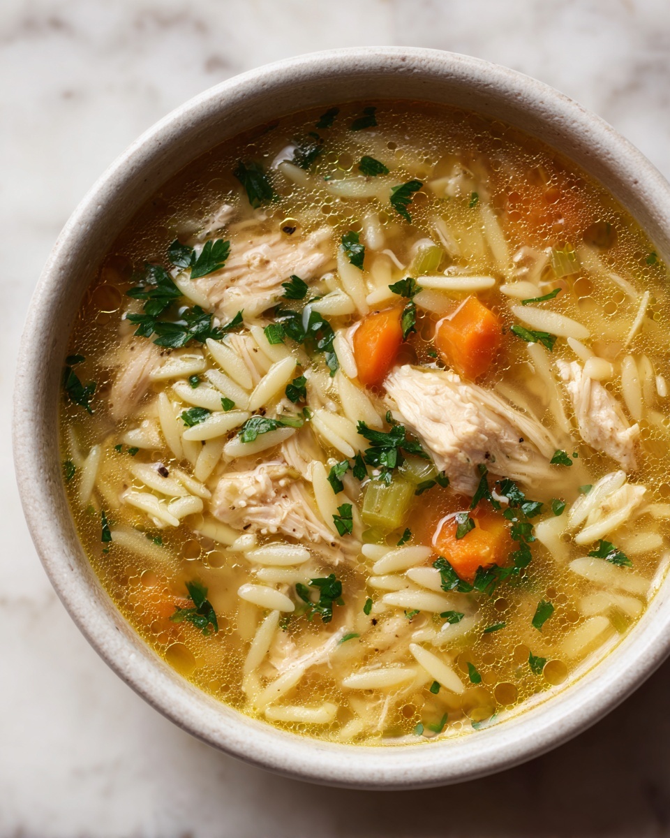 One Pot Lemon Chicken Orzo Soup Recipe - Recipe Image